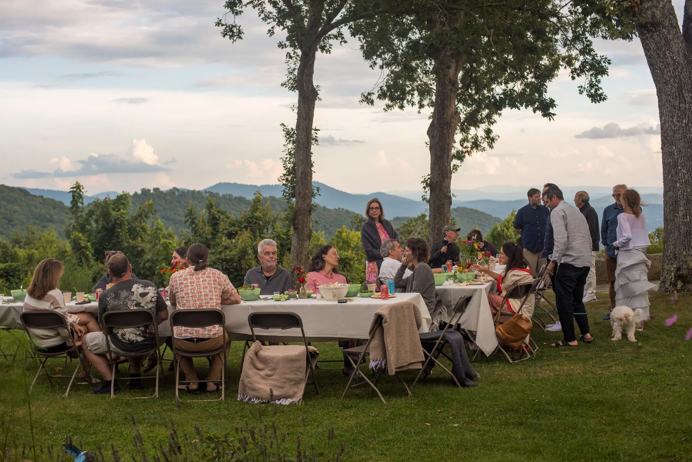 A long dinner table under oak trees at golden hour, guests seated with the Blue Ridge mountains behind them